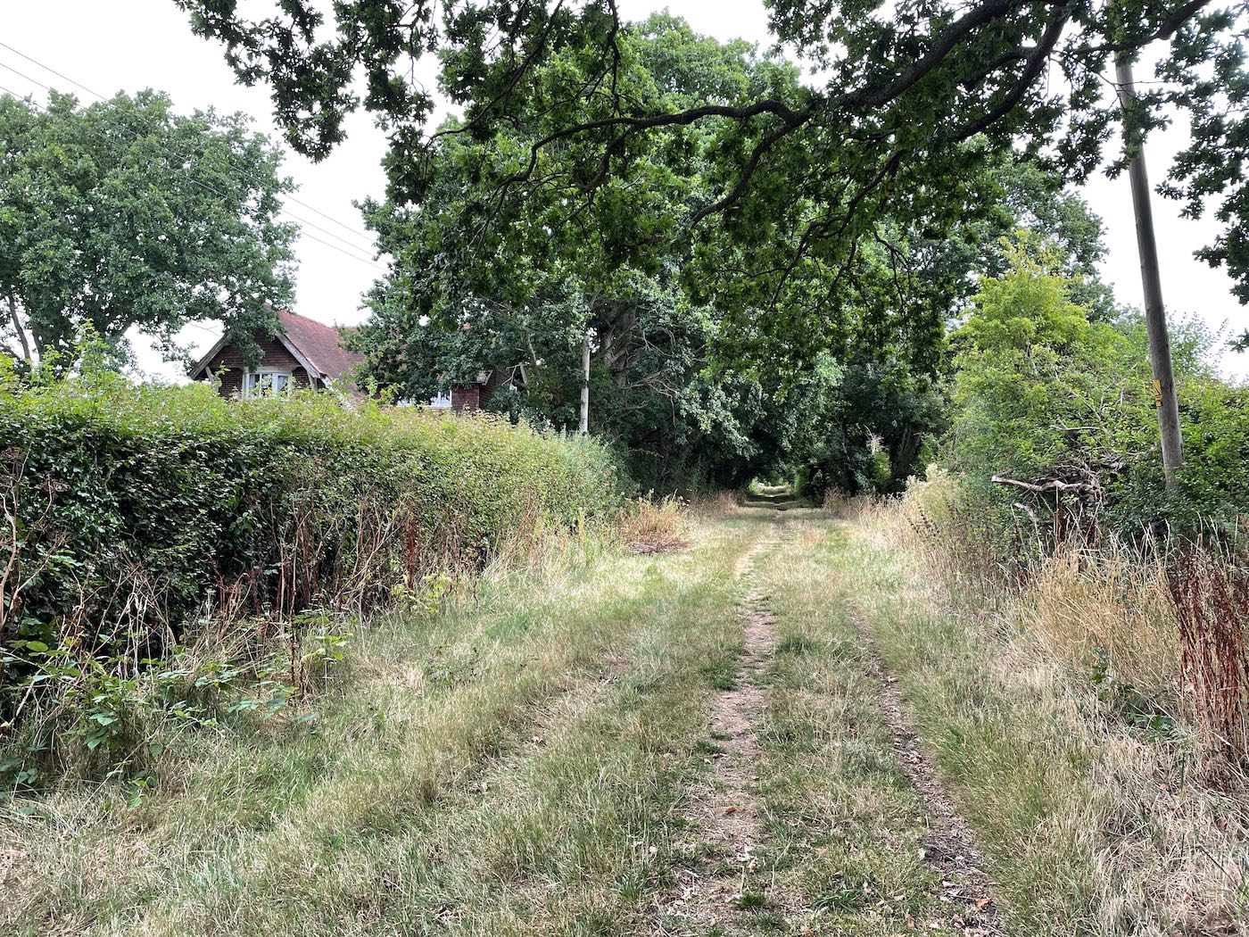 Footpath between trees at Mornings Mill Farm