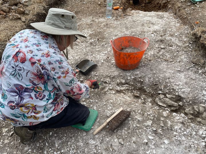 Digging for history