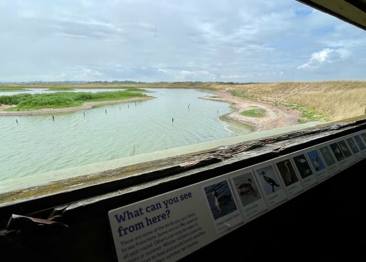Car-free day out: Rye Harbour Nature Reserve